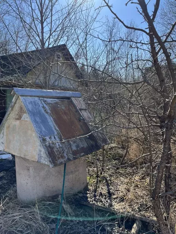 Участок в Ленинградская область, Лужский район, Мшинское с/пос, ... - Фото 2