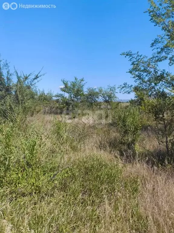 Участок в Усть-Абаканский район, село Калинино (12.95 м) - Фото 1