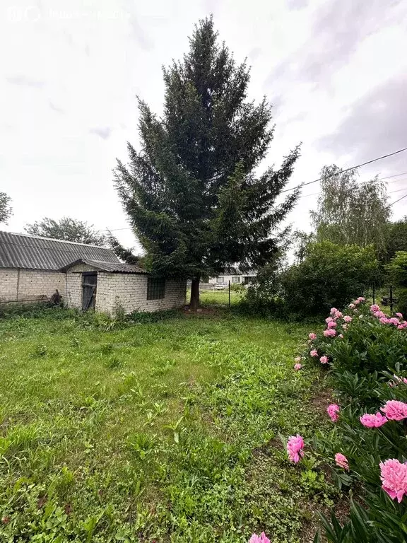 Дом в Рязанская область, городской округ Скопин, село Старые Кельцы, ... - Фото 1