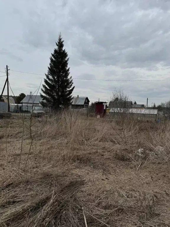 Участок в Свердловская область, Екатеринбург сад Юбилейный-2 КС, 12 ... - Фото 2