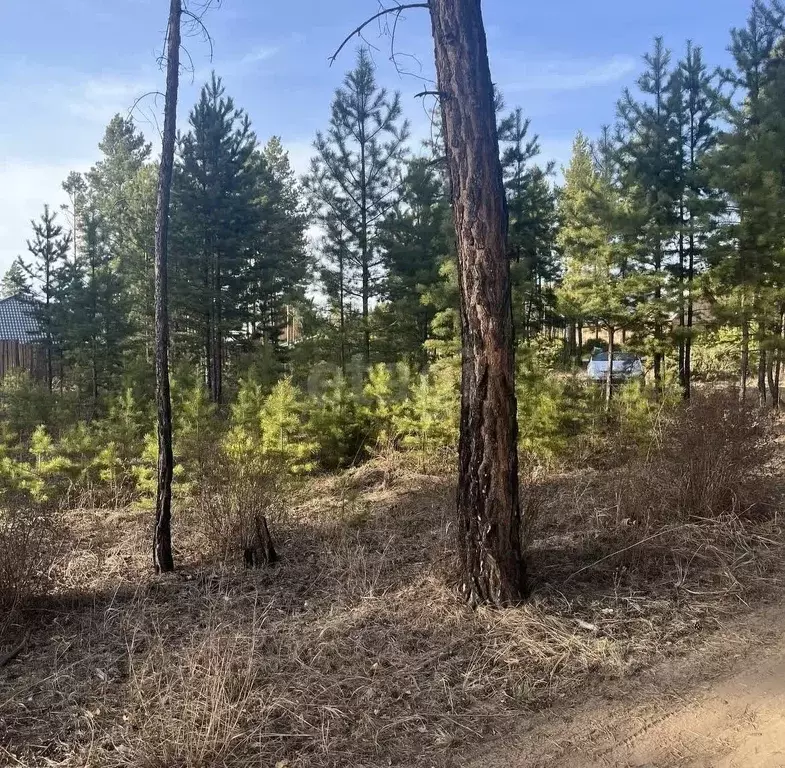 Участок в Бурятия, Улан-Удэ ул. Андреева (7.8 сот.) - Фото 1