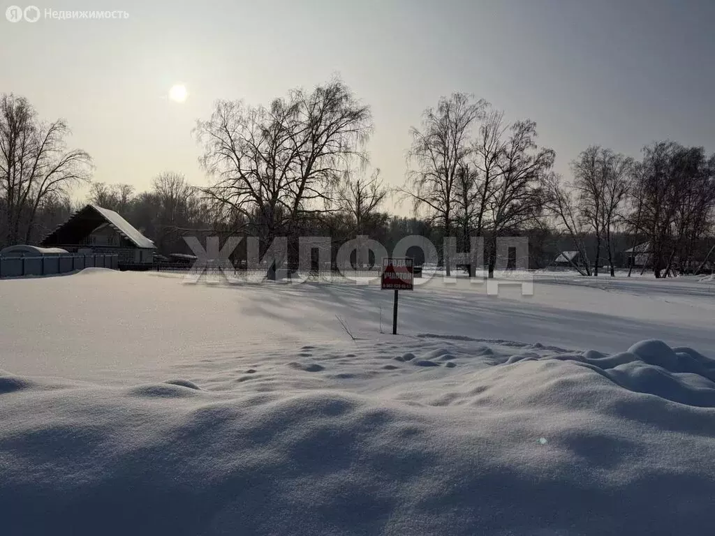 Участок в деревня Новый Шарап, Молодёжная улица, 1Б (10 м) - Фото 1
