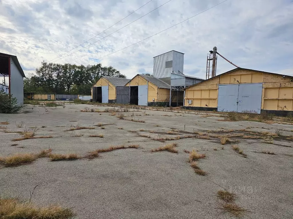 Склад в Краснодарский край, Новокубанск Шоссейная ул. (6000 м) - Фото 0