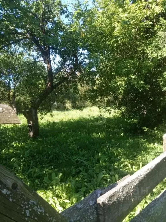 Дом в Калужская область, Сухиничский муниципальный округ, Шлиппово ... - Фото 1