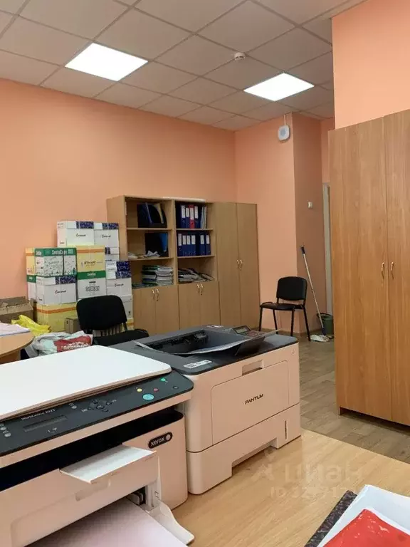 Помещение свободного назначения в Санкт-Петербург ул. Добровольцев, ... - Фото 2