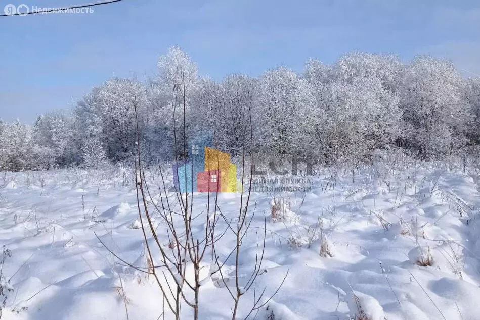 Участок в Тульская область, городской округ Тула, деревня Крюковка (30 ... - Фото 2