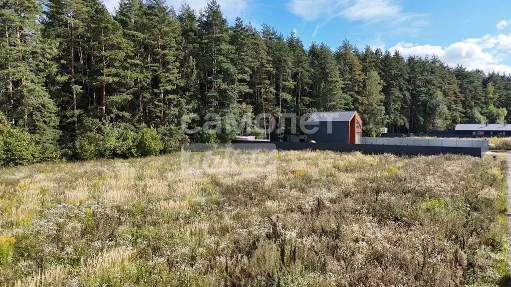 Участок в Московская область, Домодедово Новое Косино кп, 368 (13.21 ... - Фото 2