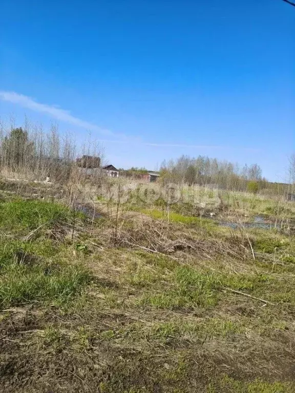 Участок в Томская область, Томский район, с. Вершинино, Поле 21 Га мкр ... - Фото 1