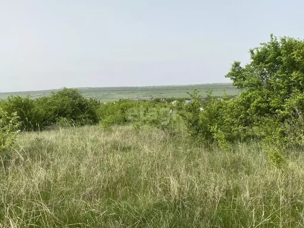 Участок в Ставропольский край, Ставрополь Земляне садовое ... - Фото 0