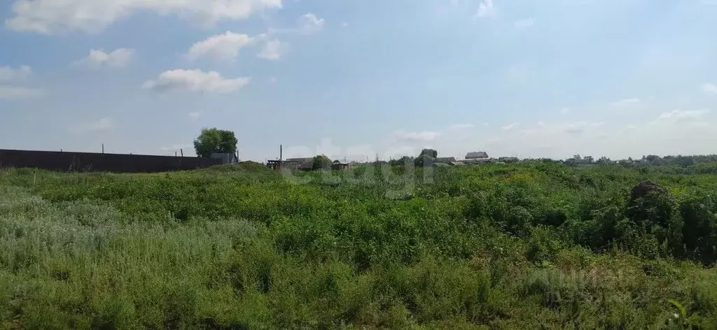 Участок в Оренбургская область, Оренбург городской округ, пос. ... - Фото 2