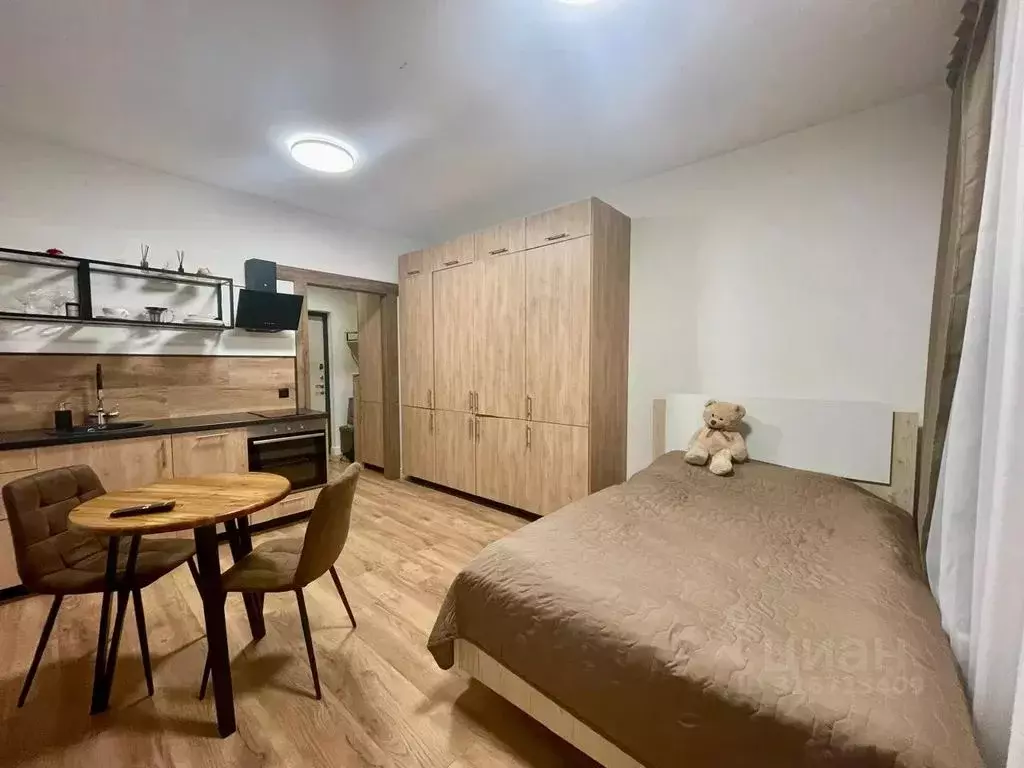 Студия Санкт-Петербург ул. Бабушкина, 55к1 (24.0 м) - Фото 1