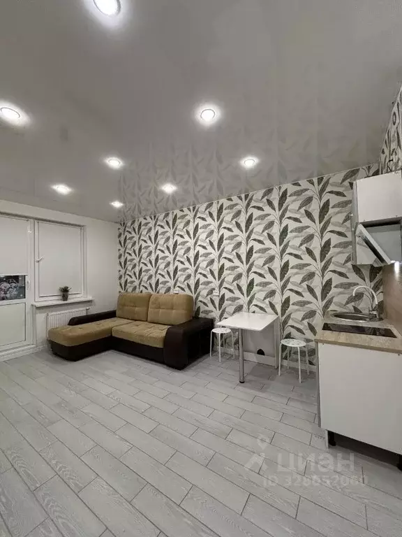 Студия Санкт-Петербург пос. Парголово, Заречная ул., 17 (27.4 м) - Фото 2