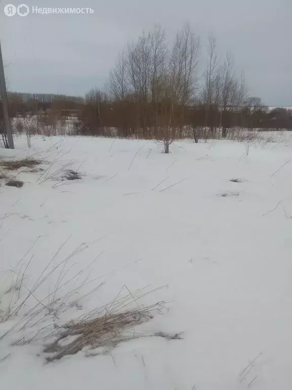 Участок в Юрьев-Польский район, муниципальное образование ... - Фото 1