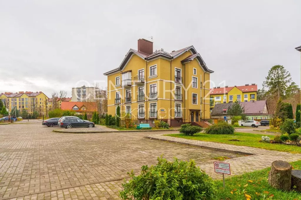 Офис в Калининградская область, Светлогорск Сосновая ул., 14 (45 м) - Фото 1