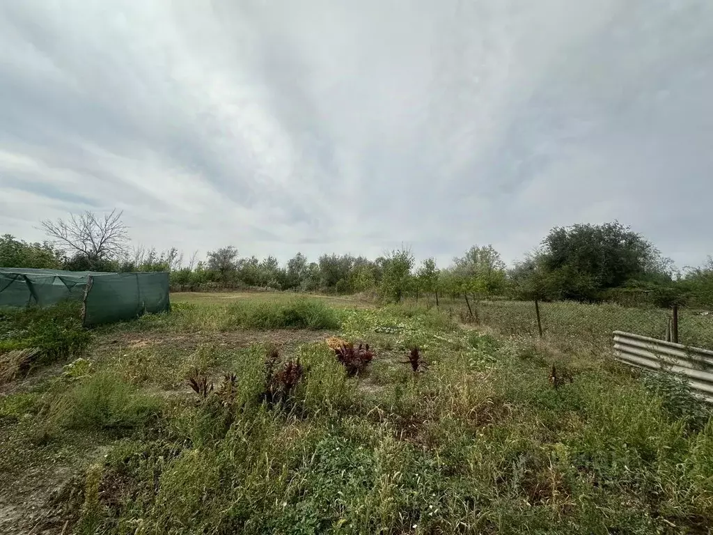Участок в Ростовская область, Азовский район, Елизаветинское с/пос, ... - Фото 2