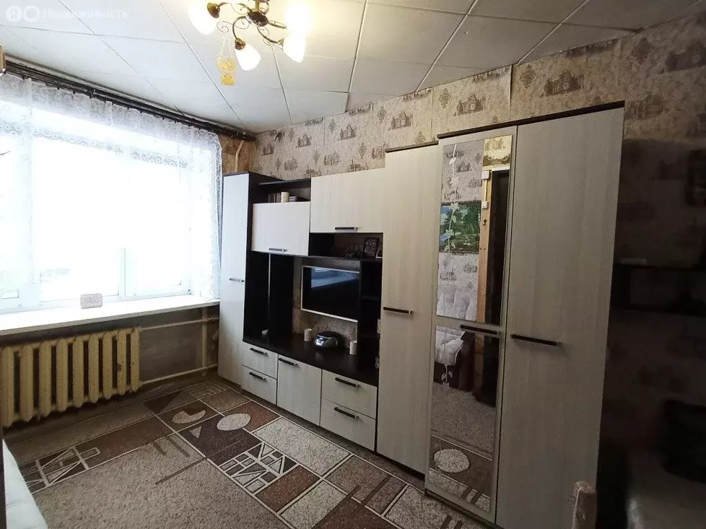 1-комнатная квартира: посёлок Каменники, улица Энергетиков, 3 (21.8 м) - Фото 2