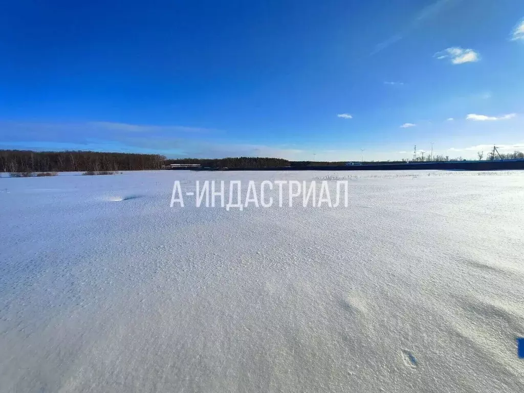 Участок в Московская область, Домодедово Белые Столбы мкр, ул. ... - Фото 2