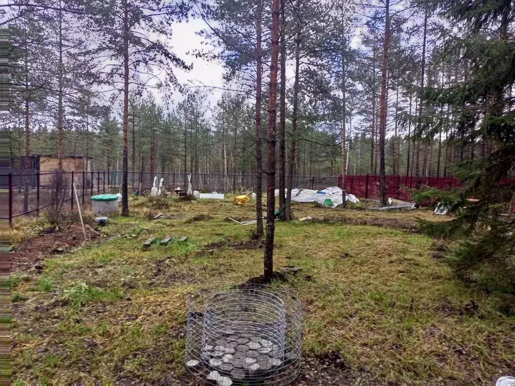 Участок в Ленинградская область, Всеволожское городское поселение, ... - Фото 1