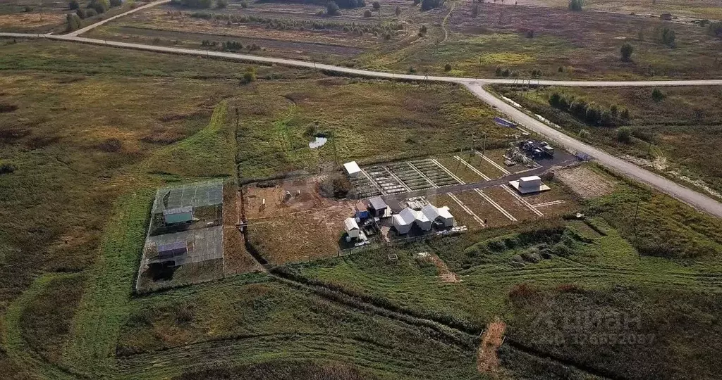 Участок в Ленинградская область, Ломоносовский район, Низинское с/пос, ... - Фото 1