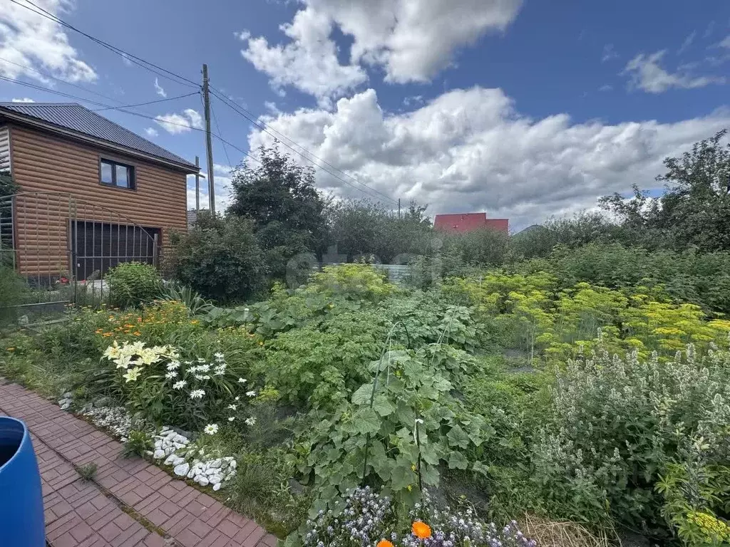 Участок в Тюменская область, Тюмень Мебельщик садовое товарищество, ... - Фото 1