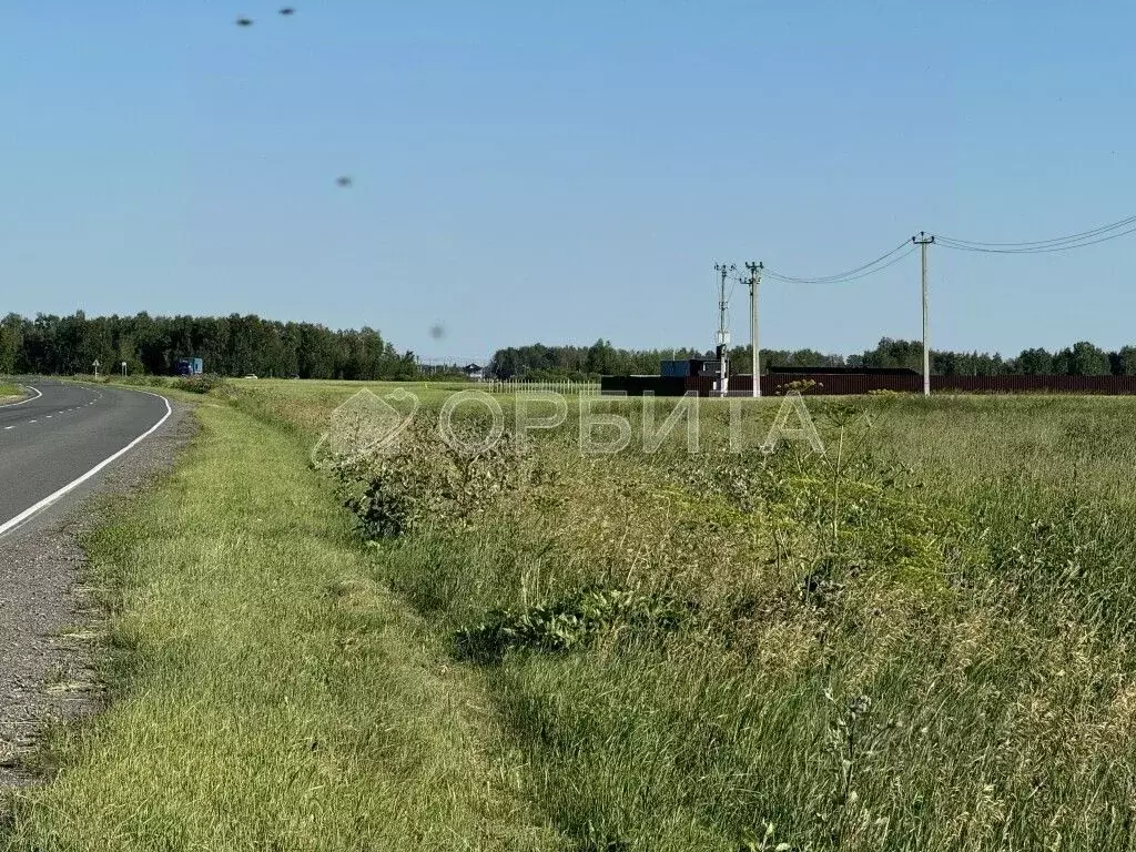 Участок в Тюменская область, Нижнетавдинский район, Лебедушка СПК  ... - Фото 1