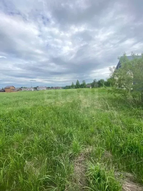 Участок в Новосибирская область, Новосибирский район, с. Кубовая ул. ... - Фото 1