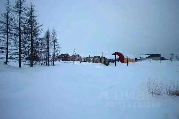 Участок в Ямало-Ненецкий АО, Новый Уренгой Ермак ДПК, 72 (6.0 сот.) - Фото 1