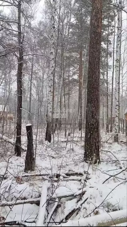 Участок 16 сот. (ИЖС) - Фото 1
