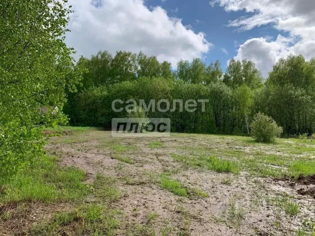 Участок в Нижегородская область, Нижний Новгород с. Шава, ул. Теплая ... - Фото 1