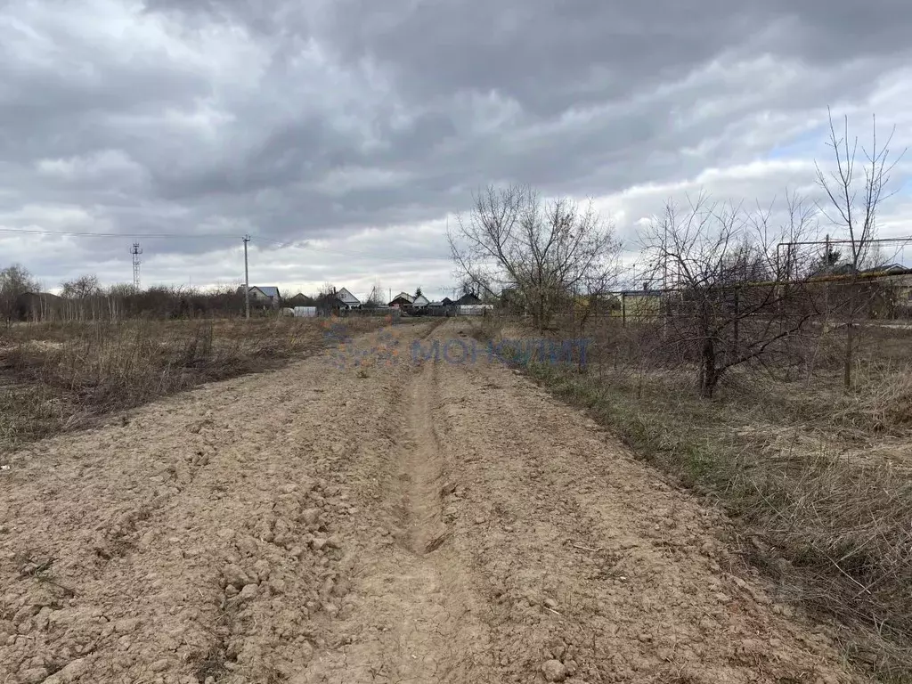 Участок в Нижегородская область, Богородский район, с. Каменки ул. ... - Фото 1