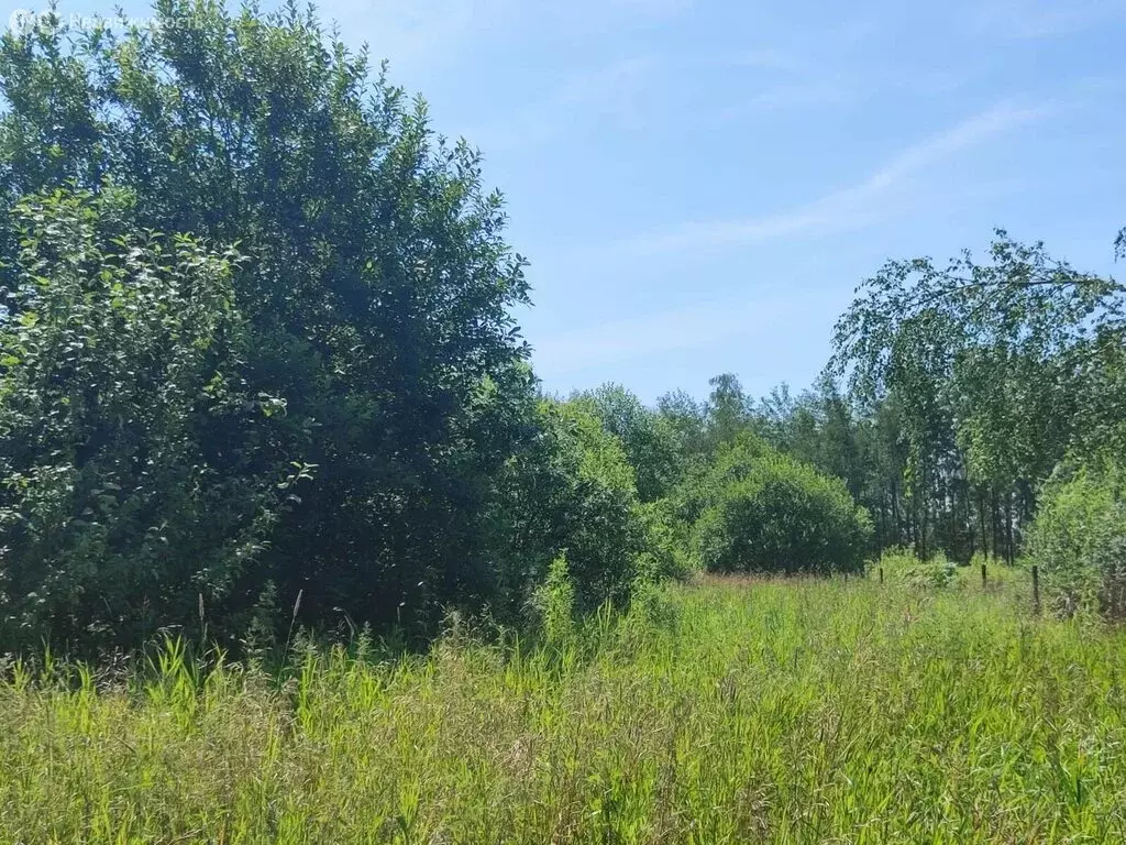 Участок в Новое Аннино, Новосельская улица, 19 (25 м) - Фото 1
