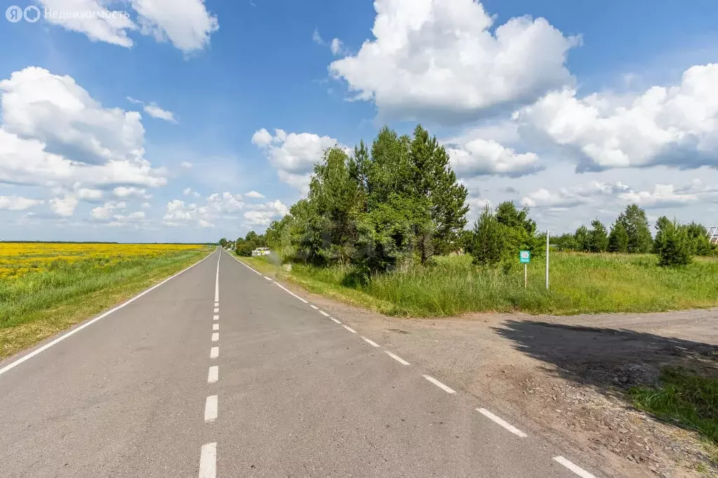 Участок в Тюменский муниципальный округ, СНТ Лоза, 14-я улица (8 м) - Фото 2