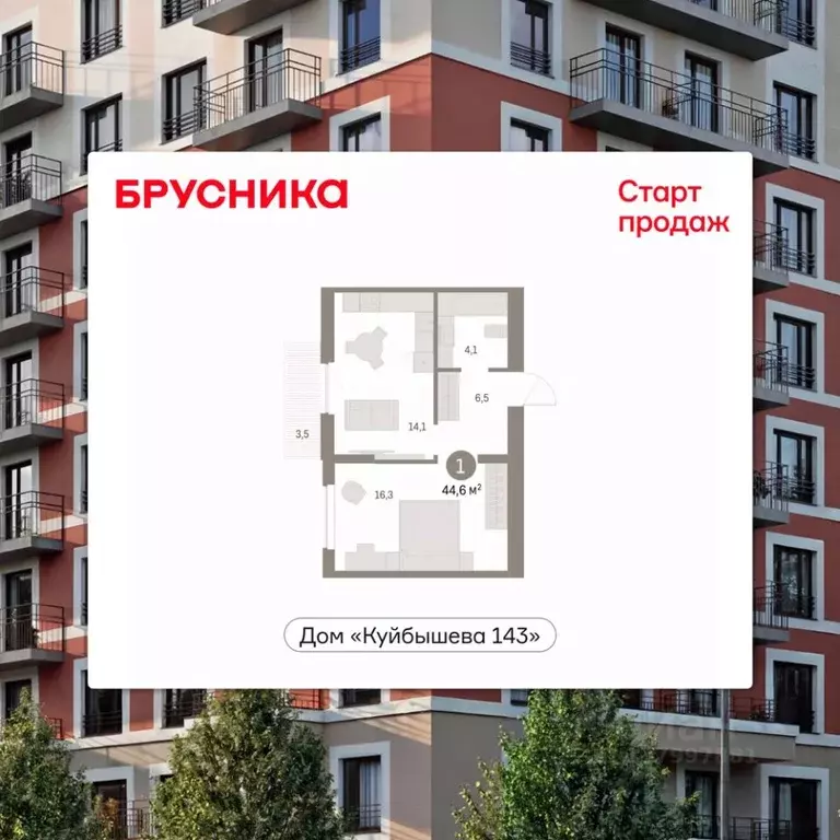Студия Пермский край, Пермь ул. Куйбышева, 143 (44.55 м) - Фото 1