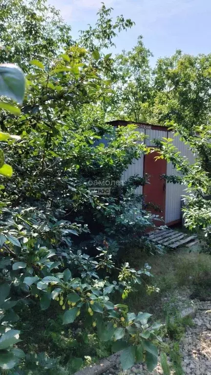 Участок в Краснодарский край, Анапа муниципальный округ, Куток хут.  ... - Фото 1