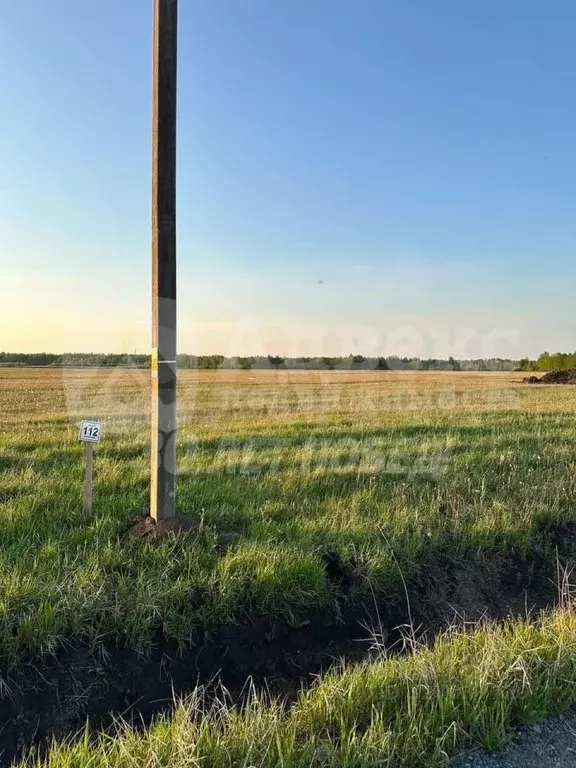 Участок в Тюменская область, Тюменский муниципальный округ, д. Елань, ... - Фото 1