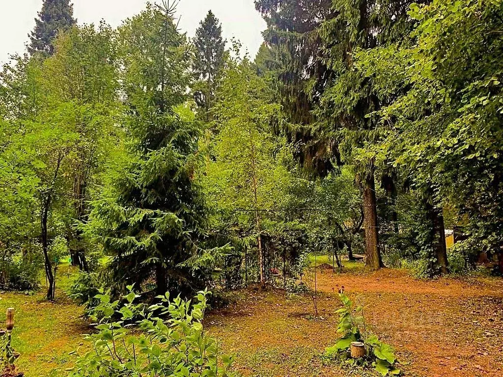 Участок, 12.2 сот., 0 - Фото 1