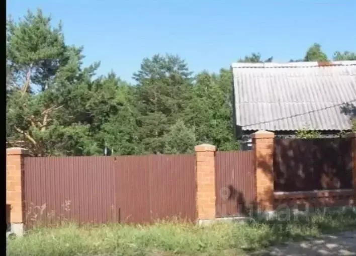 Участок в Иркутская область, Иркутский муниципальный округ, Пион СНТ ... - Фото 1