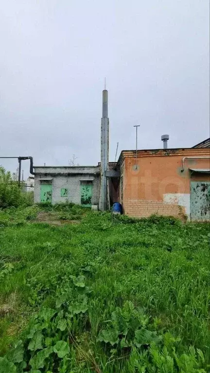 Пищевое производство - Фото 1