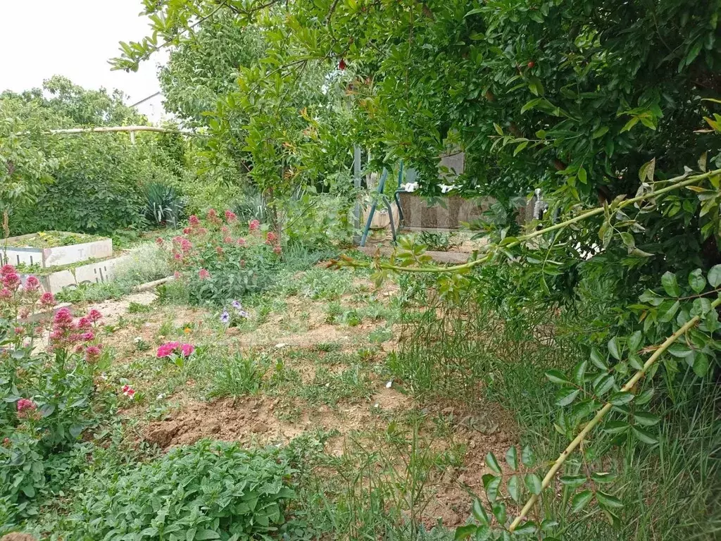 Дом в Севастополь ул. Пилипенко, 22 (36 м) - Фото 1