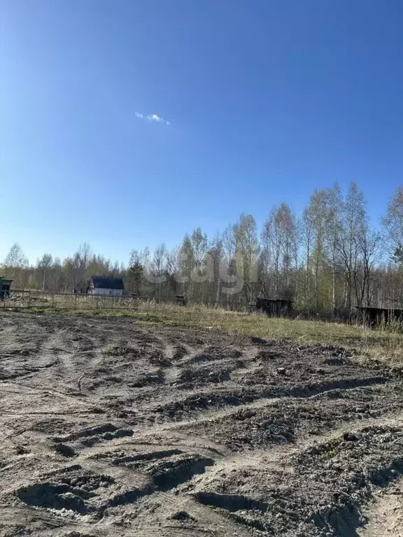 Участок в Тюменская область, Тюмень СОСН Приозерное тер.,  (4.2 сот.) - Фото 0