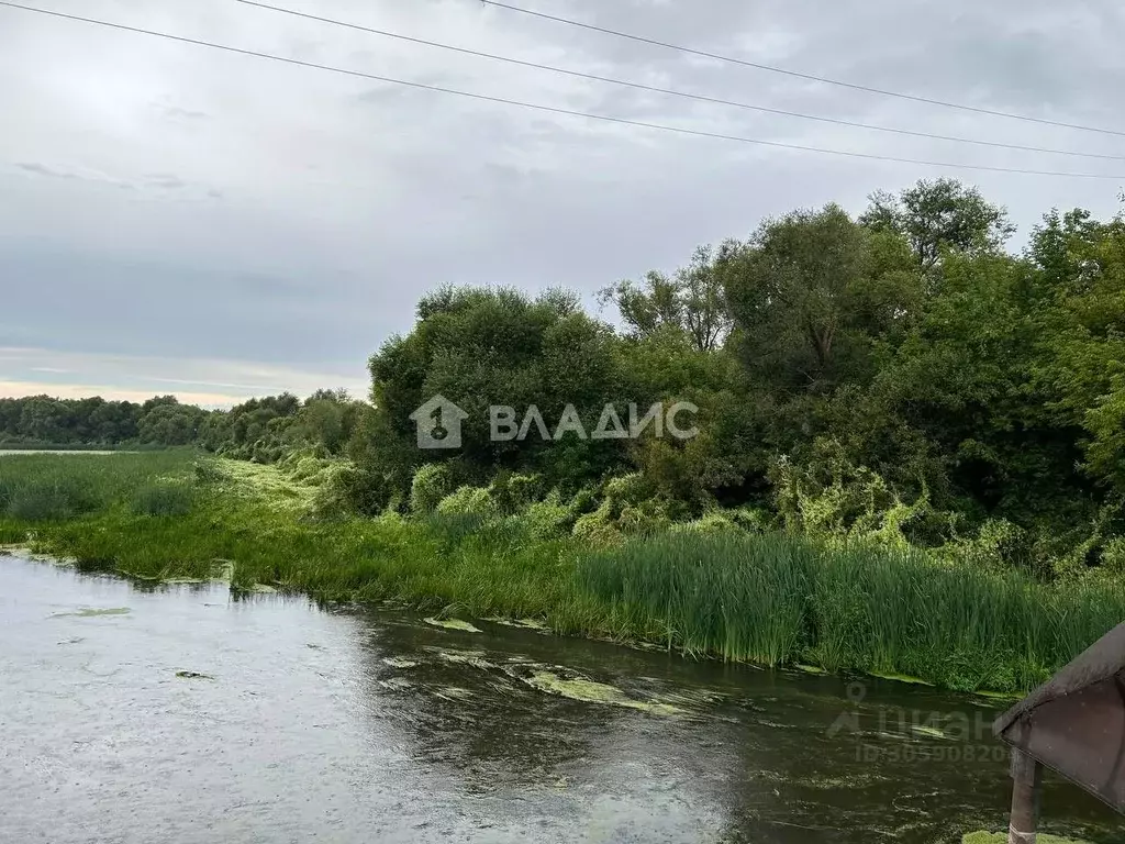 Участок в Пензенская область, с. Бессоновка ул. Карьер (150.0 сот.) - Фото 0