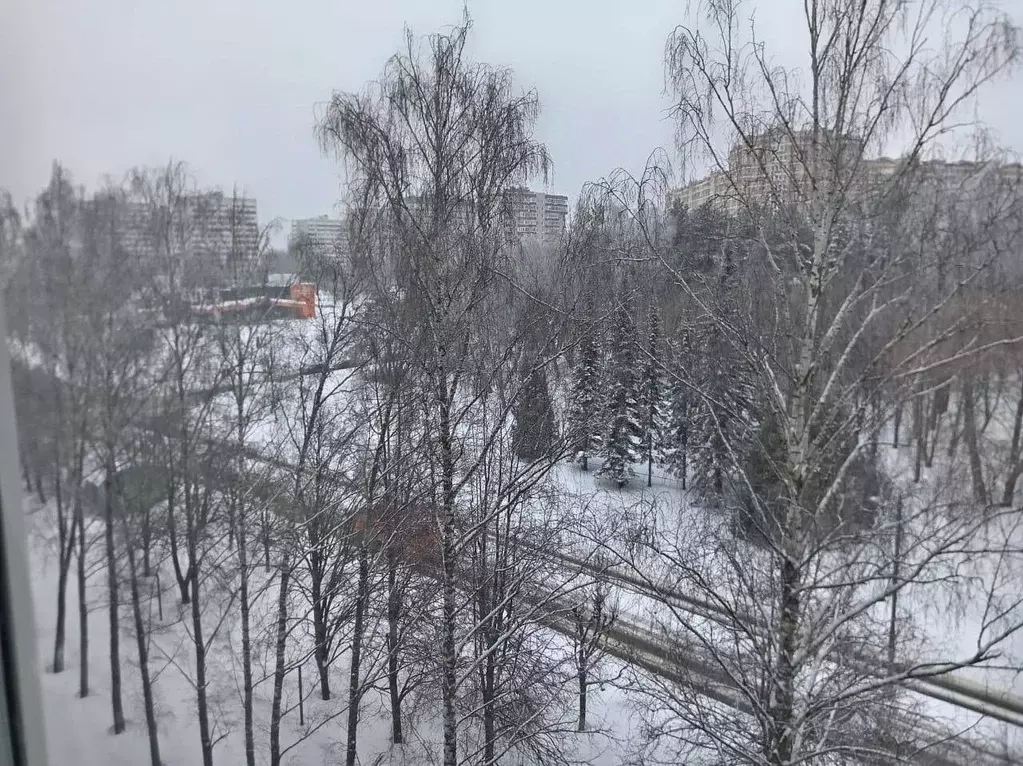 1-к кв. Московская область, Пущино Серпухов городской округ, Г мкр, 26 ... - Фото 1