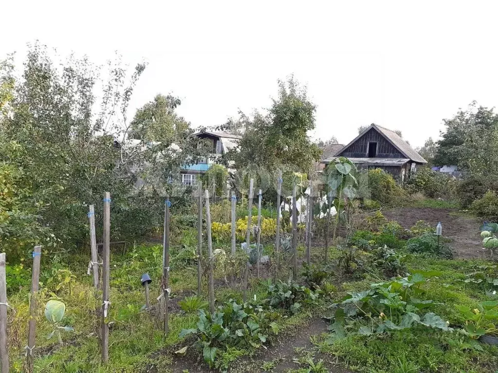 Дом в Хакасия, Абакан Самохвал дачный район,  (15 м) - Фото 0