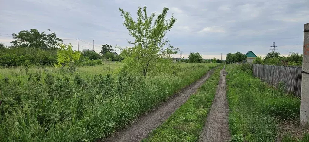 Участок в Омская область, Омский район муниципальный округ, Ермак СНТ  ... - Фото 1