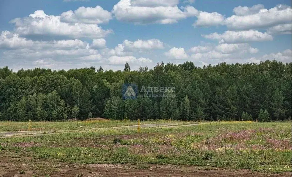 Участок в Тюменская область, Тюменский муниципальный округ, с. Кулига  ... - Фото 2