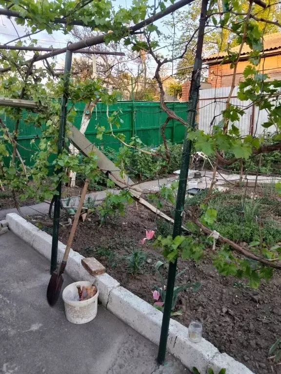 Дом в Ростовская область, Ростов-на-Дону ул. Нариманова, 85 (48 м) - Фото 0