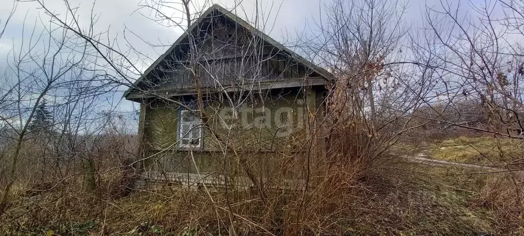 Участок в Брянская область, Трубчевский район, Юровское с/пос, д. ... - Фото 1