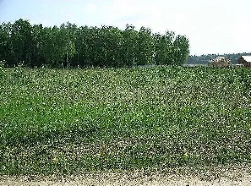 Участок в Владимирская область, Муромский район, Борисоглебское ... - Фото 0