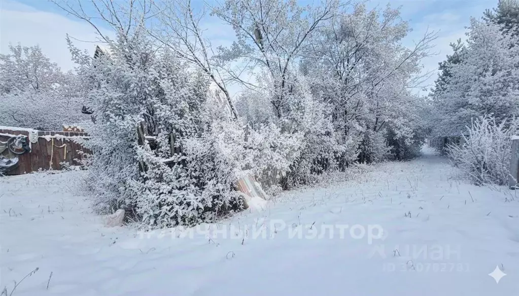 Участок в Рязанская область, Рязанский район, Мурминское с/пос, с. ... - Фото 1