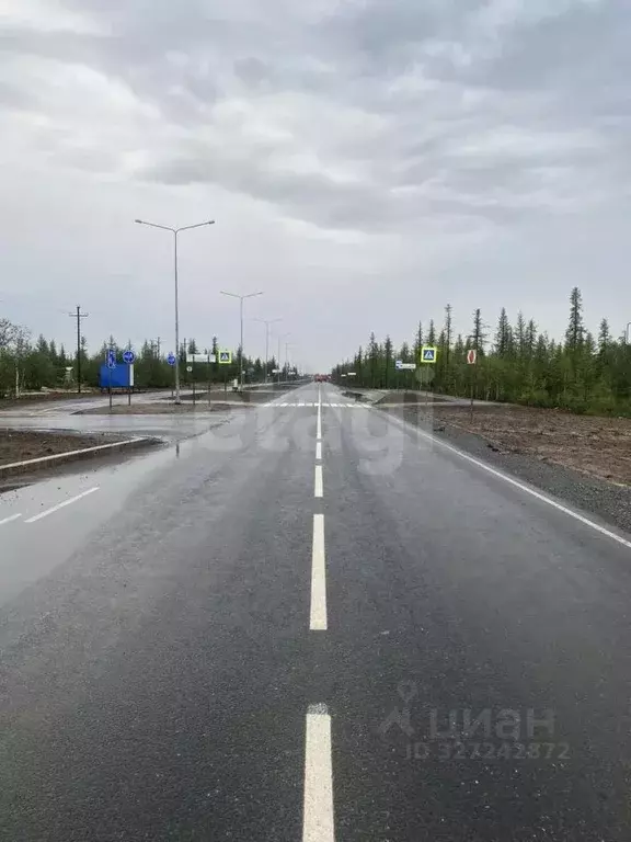 Участок в Ямало-Ненецкий АО, Новый Уренгой Фемида СНТ, ул. 1-я ... - Фото 1